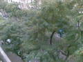 documents-ro:appart_6_11:image_017.jpg