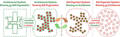 research:doursat_sayama_michel_2013_morpheng_review.jpg
